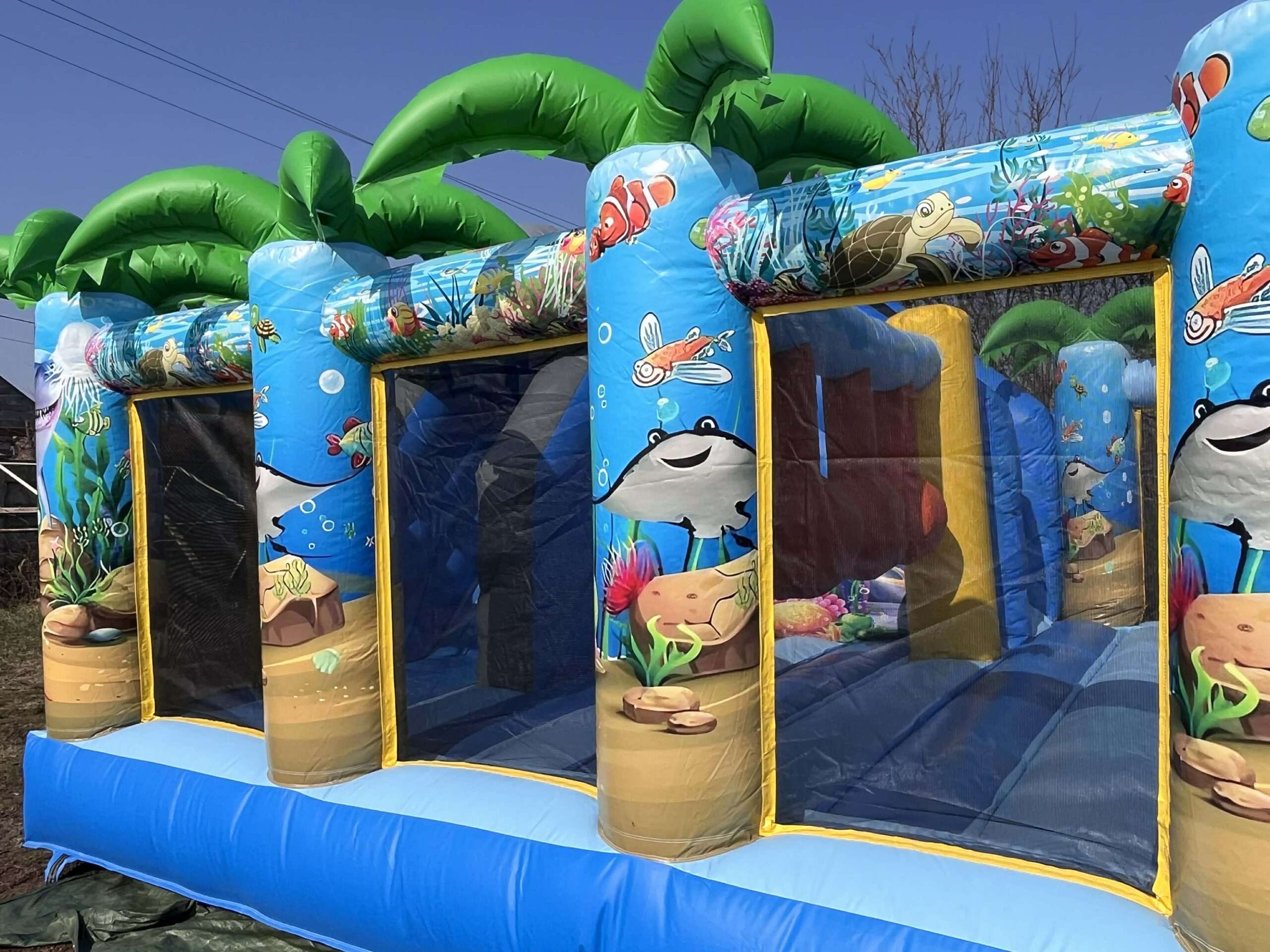 Tengeri világ élő-3